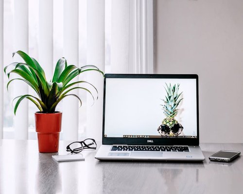A modern and bright desk with a small laptop computer next to a green indoor plant